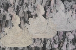 Swan lake, 2012