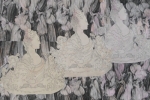 Swan lake, 2012
